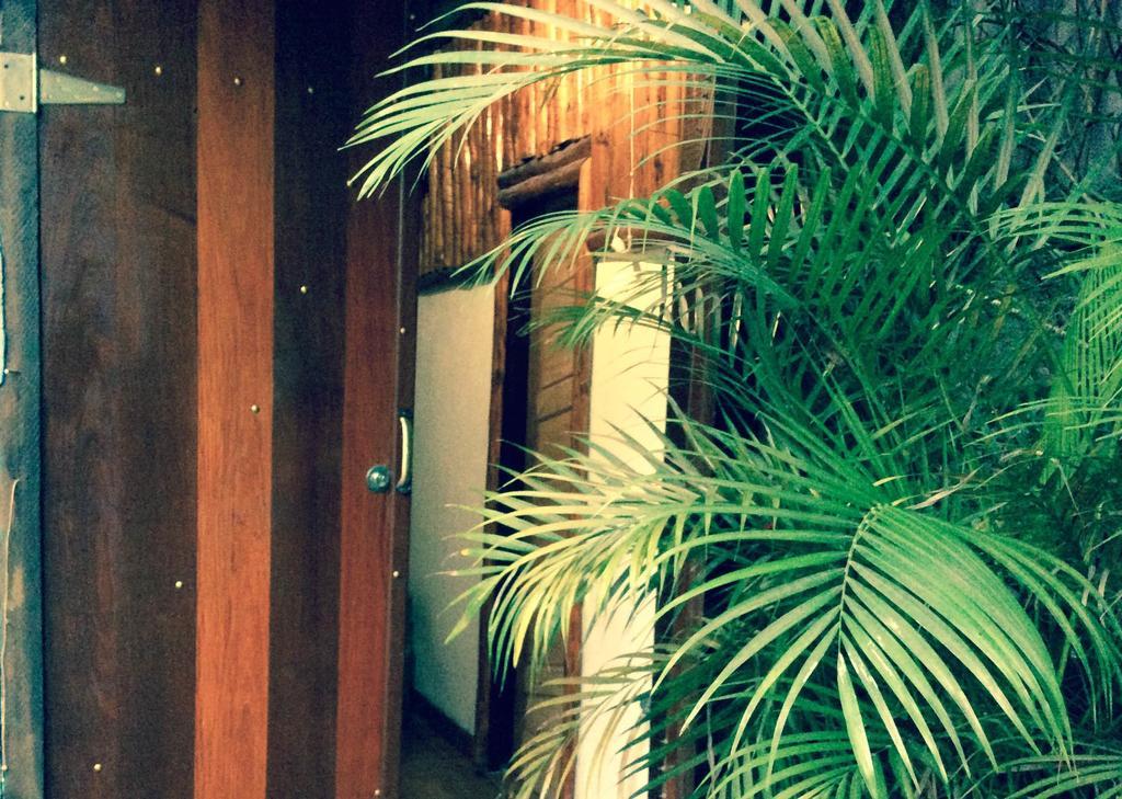 Canto Do Buganville Abraão Exteriör bild
